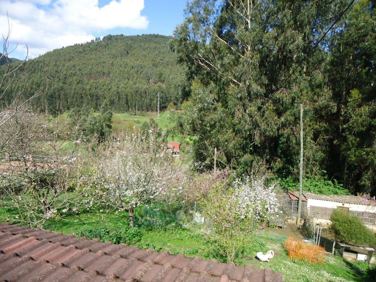 Holiday home La Coruxa *